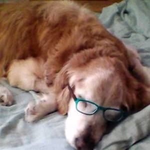 Meet your Posher, Tara